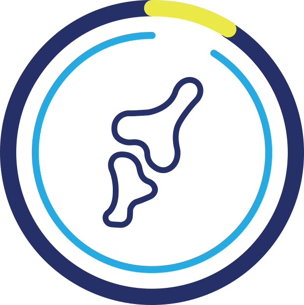 Graphic image representing a bone.