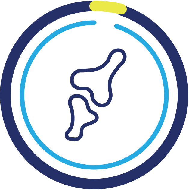 Graphic image representing a bone.