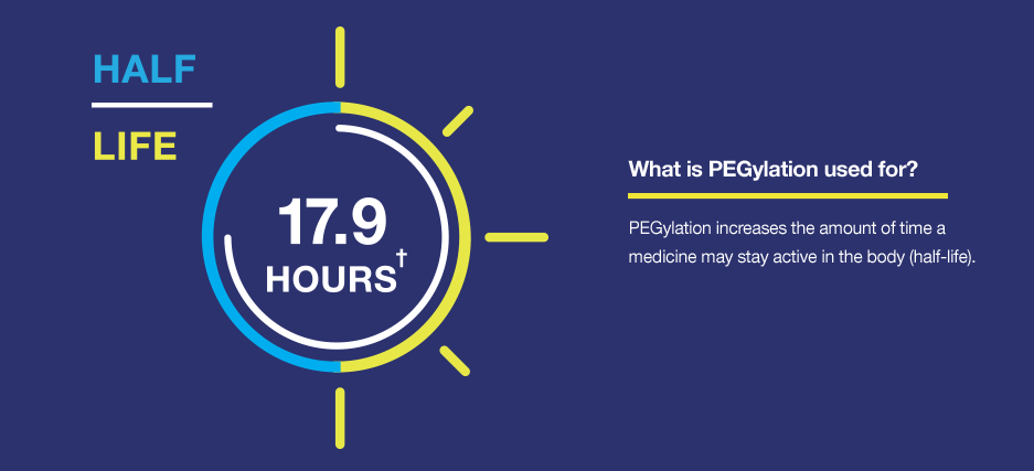 Half-life within circular timer and text saying PEGylation increases medicine activity duration in the body.